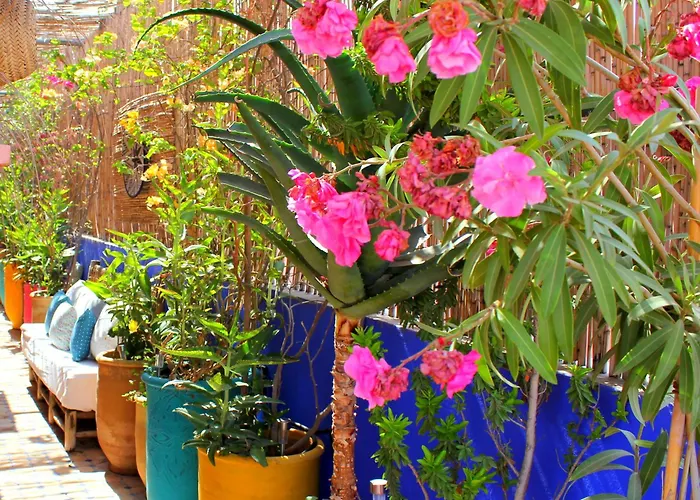 Rare : Superbe Appartement&Grande Terrasse Avec Vue Degagee Dans Le + Joli Quartier De Marrakech, Majorelle