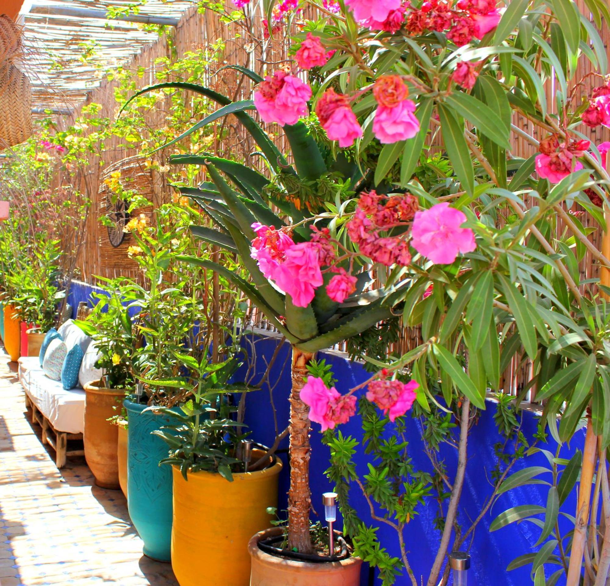 Terrasse Privee A Majorelle, Elegance & Standing 公寓 马拉喀什